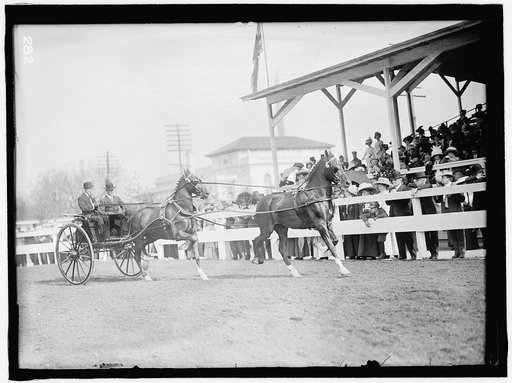 HORSE SHOWS. JOHN ROLL McLEAN ENTRIES