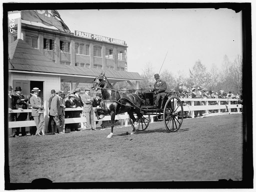 HORSE SHOWS. UNIDENTIFIED MEN, DRIVING