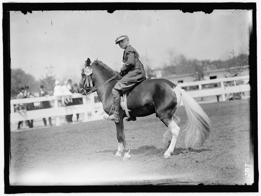 HORSE SHOWS. CHILDREN AND PONIES