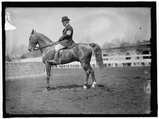 HORSE SHOWS. UNIDENTIFIED MEN, MTD. OR HURDLING