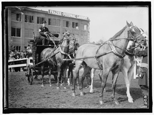 HORSE SHOWS. ADOLPHUS BUSCH, 3RD OF ST. LOUIS