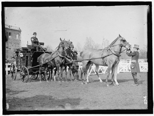 HORSE SHOW. BUSCH, ADOLPHUS, III, OF ST. LOUIS