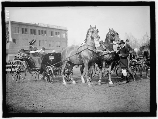 HORSE SHOWS