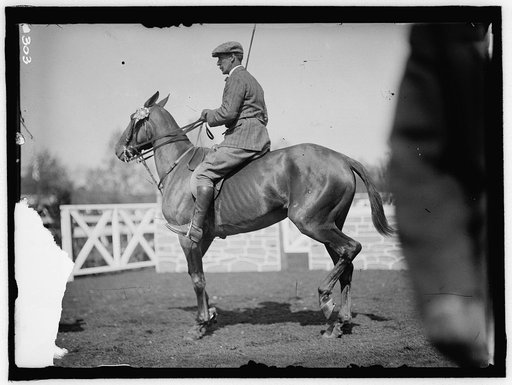 HORSE SHOWS. UNIDENTIFIED MEN, MTD. OR HURDLING
