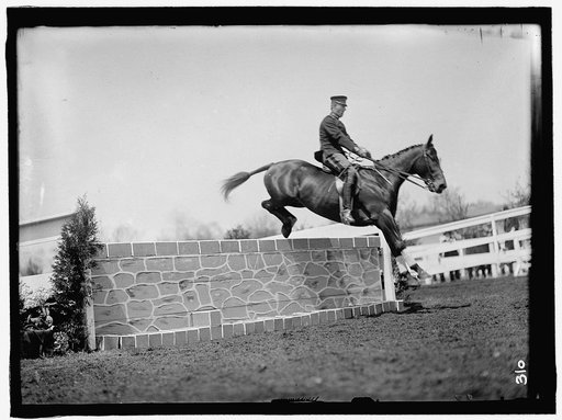HORSE SHOW, HURDLING. JOHNSTON, GORDON, 1ST LT., U.S.A. 7TH CAVALRY