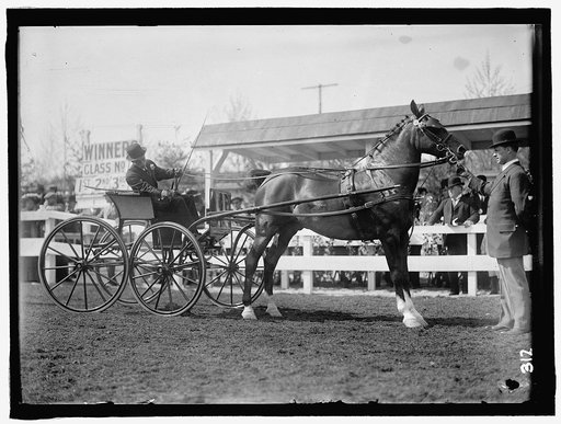 HORSE SHOWS. UNIDENTIFIED MEN, DRIVING