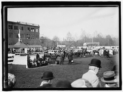 HORSE SHOWS. GENERAL VIEWS