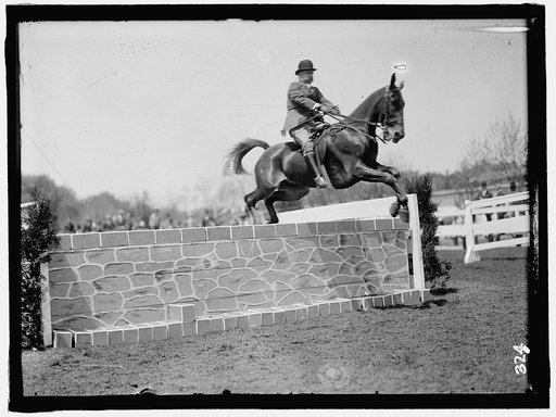 HORSE SHOWS. COL. A.W. DUNN, HURDLING