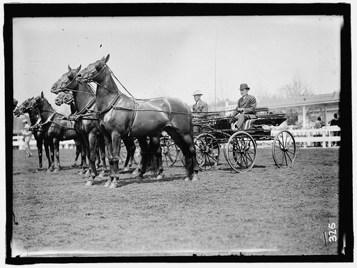 HORSE SHOWS. TEAMS