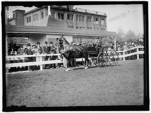 HORSE SHOWS. UNIDENTIFIED MAN DRIVING. GEN. ALLEN AND SECRETARY DICKINSON STANDING BACK OF FENCE NEAR HEAD OF HORSE