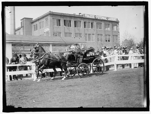 HORSE SHOWS. UNIDENTIFIED MEN, DRIVING