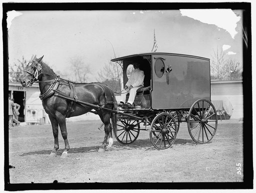 HORSE SHOWS. HORSE AND WAGON