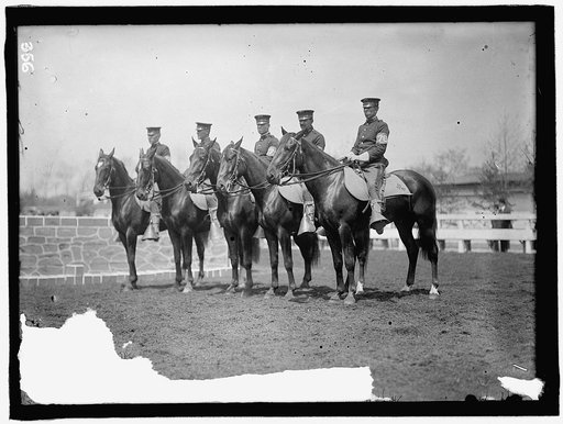 HORSE SHOWS. U.S. CAVALRY