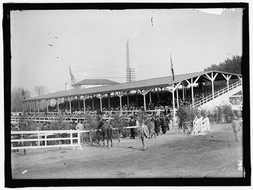 HORSE SHOWS. GENERAL VIEWS