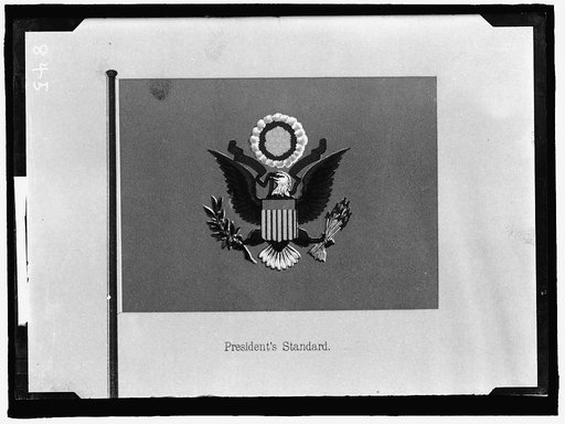 FLAGS. PRESIDENT'S STANDARD