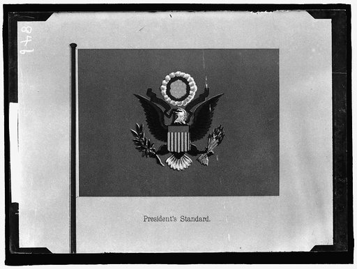 FLAGS. PRESIDENT'S STANDARD