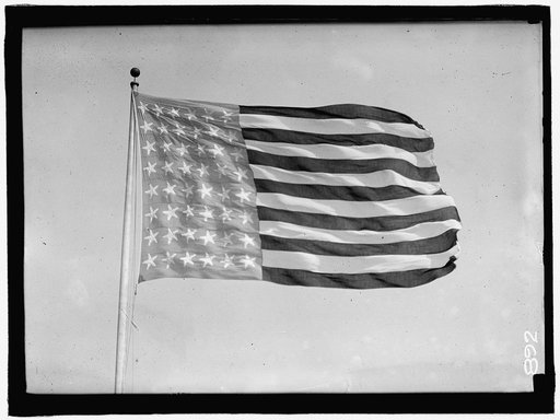 FLAGS. BATTLE FLEET FLAG
