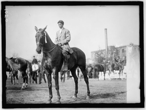 HORSE SHOWS