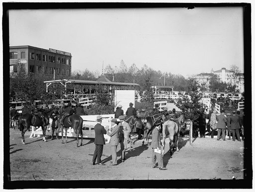 HORSE SHOWS. GENERAL VIEWS