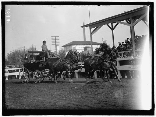 HORSE SHOWS. 4-HORSE TEAMS