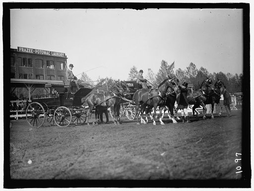 HORSE SHOWS. 4-HORSE TEAMS