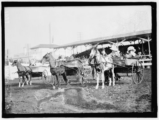 HORSE SHOWS. CHILDREN AND PONIES
