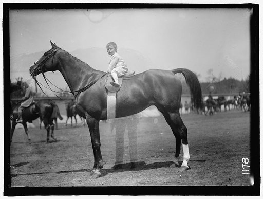 HORSE SHOWS. BABY VINCENT McLEAN ON 'INDIAN FLOWER'
