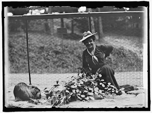 ADAMS, MRS. FRANKLIN, NEE HARRIET CHALMERS AT ZOO