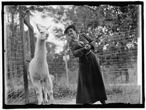 ADAMS, MRS. FRANKLIN, NEE HARRIET CHALMERS. AT ZOO WITH LLAMA