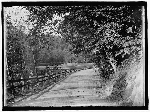 ROCK CREEK PARK SCENES