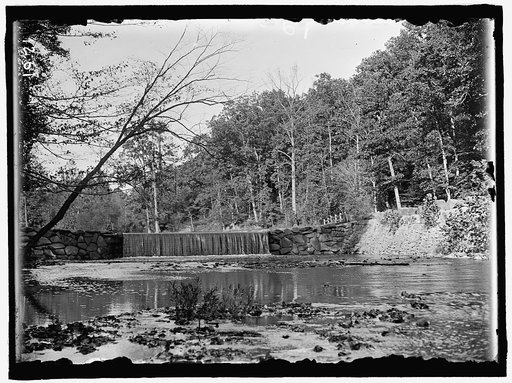 ROCK CREEK PARK SCENES