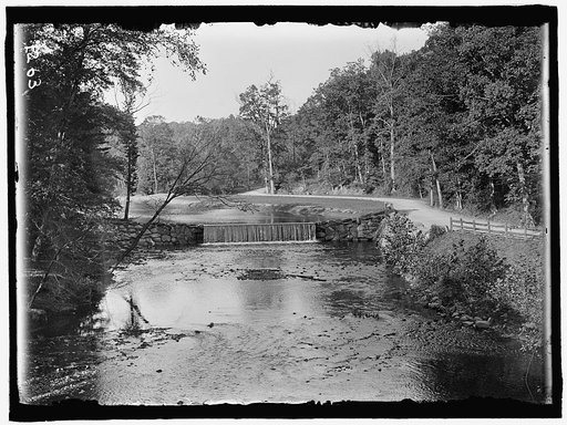 ROCK CREEK PARK SCENES