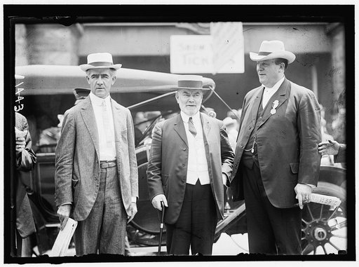 DEMOCRATIC NATIONAL CONVENTION. SENATORS HITCHCOCK OF NEBRASKA, O'GORMAN OF NEW YORK, AND JAMES OF KENTUCKY