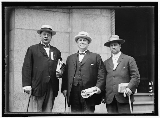 DEMOCRATIC NATIONAL CONVENTION. COL. P. DENTON, COL. JOHN I. MARTIN, JAY CAIRNS
