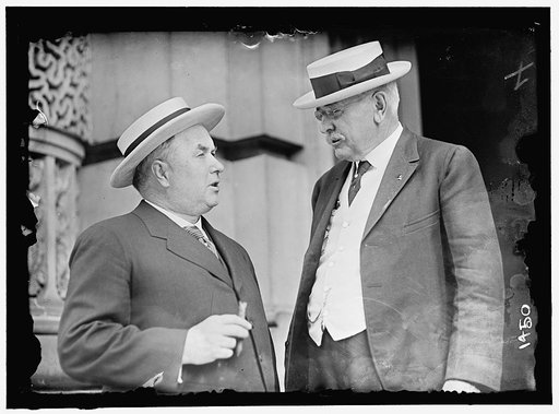 DEMOCRATIC NATIONAL CONVENTION. ROGER SULLIVAN OF ILLINOIS AND DR. P.L. HALL OF NEBRASKA