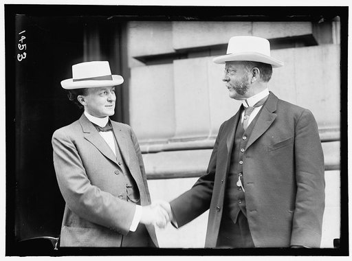DEMOCRATIC NATIONAL CONVENTION. SEN. POMERENE OF OHIO, AND REP. REDFIELD OF NEW YORK