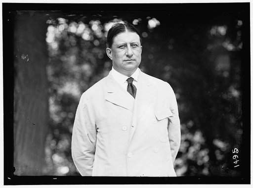 REPUBLICAN NATIONAL COMMITTEE. BARNES, WILLIAM, JR., OF NEW YORK