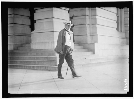 DEMOCRATIC NATIONAL CONVENTION. UNIDENTIFIED