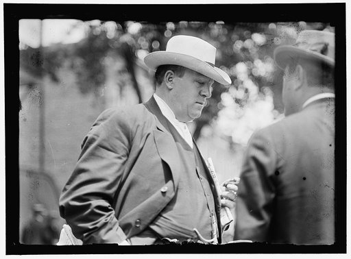 DEMOCRATIC NATIONAL CONVENTION. JAMES, OLLIE M., REP. FROM KENTUCKY, 1903-1913; SENATOR, 1913-1918