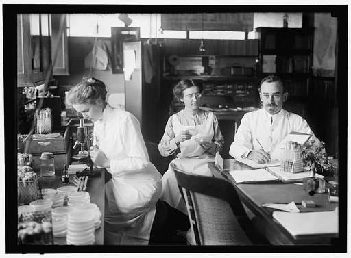 BACTERIOLOGY. DR. GEORGE STILES