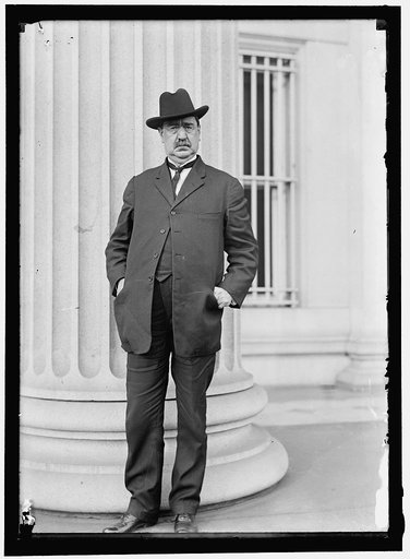 Unidentified man, possibly congressman or public official