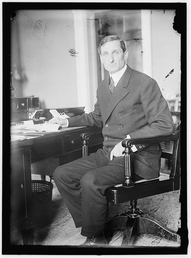 McADOO, WILLIAM GIBBS. SECRETARY OF THE TREASURY, 1913-1921