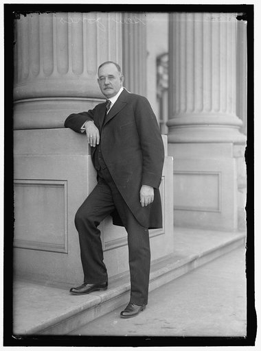 JONES, ANDRIENS ARISTIENS. SENATOR FROM NEW MEXICO, 1916-1927. AS DEMOCRATIC NATIONAL COMMITTEE MAN FROM NEW MEXICO