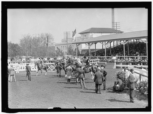 HORSE SHOWS. GENERAL VIEW, WASHINGTON HORSE SHOW