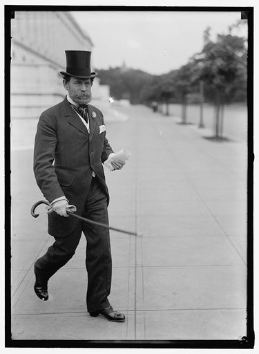 LEWIS, JAMES HAMILTON. REP. FROM WASHINGTON, 1897-1899; SENATOR FROM ILLINOIS, 1913-1919, 1931-
