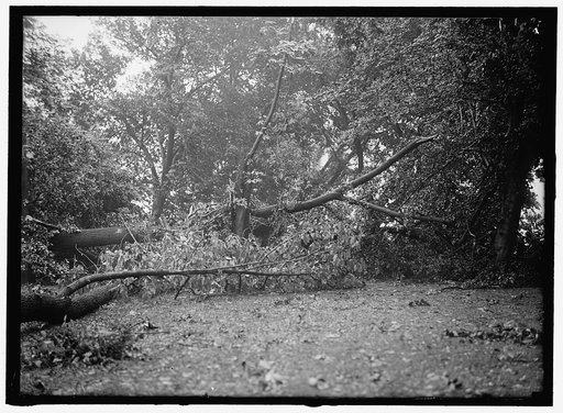 DISTRICT OF COLUMBIA PARKS EFFECTS OF STORM