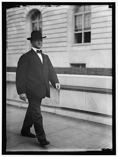 HINEBAUGH, WILLIAM HENRY. REP. FROM ILLINOIS, 1913-1915