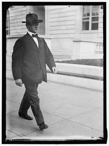 HINEBAUGH, WILLIAM HENRY. REP. FROM ILLINOIS, 1913-1915