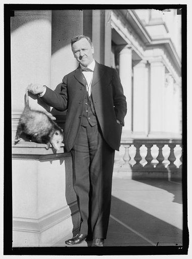 DANIELS, JOSEPHUS. SECRETARY OF THE NAVY, 1913-1921. WITH AN OPOSSUM