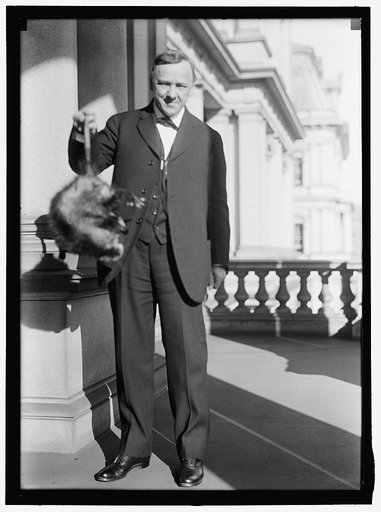 DANIELS, JOSEPHUS. SECRETARY OF THE NAVY, 1913-1921